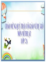 Mĩ thuật lớp 2- chủ đề 11