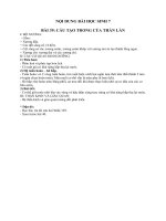 Tài liệu ôn tập trong thời gian nghỉ do dịch COVID-19 - Môn Sinh 7