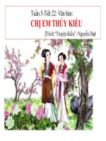 Văn 9 Bài 6 Chị em Thúy Kiều
