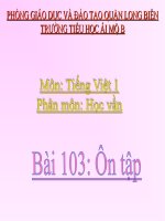 Tiếng Việt 1 - Tuần 24 - Học vần - Bài 103 Ôn tập