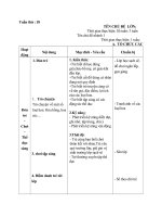 Tuần 18 1 số loại hoa