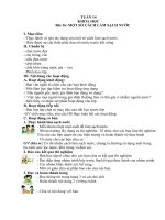 khoa sử địa tuần 14 lớp 4