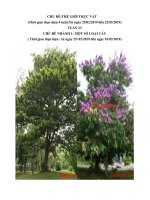 Giáo án tuần 23 chủ đề 