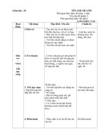 Giáo án tuần 20: Tết nguyên đán