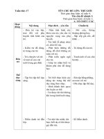 Kế hoạch giáo dục tuần 17- Năm học 2018- 2019