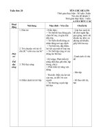 tuần 20 vườn rau của bé