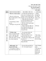 giáo án tuần 20 CĐL Tết và mùa xuân- G.A nhánh 2 hoa quả bánh trong ngày tết