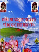 Bài giảng điện tử Tập đọc - tuần 21: Tiếng rao đêm- 5A4