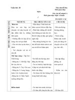 Giáo án tuần 28 - Mùa hè đến rồi