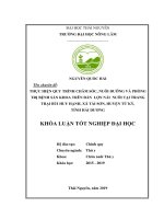 Thực hiện quy trình chăm sóc, nuôi dưỡng và phòng trị bệnh sản khoa trên đàn lợn nái nuôi tại trang trại bùi huy hạnh, xã tái sơn, huyện tứ kỳ, tỉnh hải dương​  