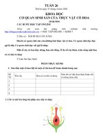 * Phiếu học tập - Khối 5 - Tuần 26