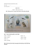 # Đáp án - Khối 2 - Tuần 22