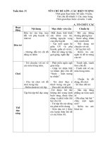 Giáo án tuần 31: Các mùa trong năm (Năm học 2018- 2019)