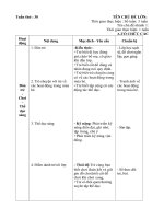 Giáo án tuần 30. Các hoạt động trong mùa hè