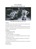 Tải Bài văn mẫu lớp 8: Phân tích tác phẩm Tức nước vỡ bờ -  Những bài văn hay lớp 8