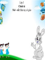 Chính tả - lớp 3 - tuần 20 - Bài Hai Bà Trưng