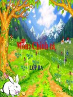 Chính tả  3- Tuần 28 - Bài:  Cuộc chạy đua trong rừng