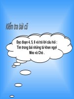 Gà tỉ tê với gà (Tuần 17)