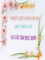 KỂ CHUYỆN 1 - TUẦN 28 - BÔNG HOA CÚC TRẮNG