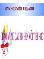Giáo án Toán 8 - Tiết 23:Tính chất cơ bản của phân thứcGV: Nguyễn Thị Anh - Tổ trưởng tổ Tự nhiên