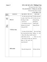 GIÁO ÁN TUẦN 17- NHỮNG CON VẬT NUÔI TRONG GIA ĐÌNH