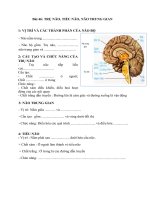 nội dung trọng tâm môn sinh học tuần 172232  thcs trần quốc toản