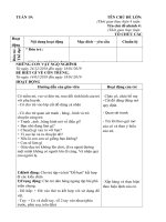 giáo án tuần 19 chủ đề 