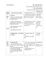 Kế hoạch giáo dục tuần 13. Các nghề phổ biến quen thuộc năm học 2017-2018