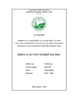 Nghiên cứu ảnh hưởng của vị trí trên cây đến cấu tạo và tính chất vật lý của cây trúc sào tuổi 5 (phyllostachys eduli) tại huyện chợ mới, tỉnh bắc kạn​  
