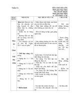 TUẦN 11: NGÀY HỘI CỦA CÔ GIÁO