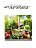 GIÁO ÁN TUẦN 23 MỘT SỐ LOẠI RAU CỦ QUẢ