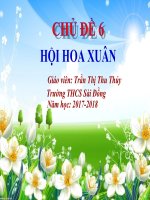 Tuan 17- L8- Tiet 17- CD6- Hoi hoa xuan- (Tiet 1)- Tran Thi Thu Thủy