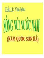 TIẾT 11 SÔNG NÚI NƯỚC NAM