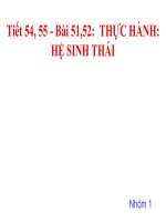 Sinh 9_Tiết 54_Bai 51 Thuc hanh He sinh thai_Nguyễn Thị Tuyến