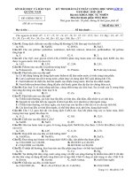 Tải Bộ đề thi thử THPT Quốc gia 2019 Sở GD&ĐT Quảng Nam -  Đề thi minh họa THPT Quốc gia 2019 môn Toán, Ngữ văn, Sinh học, Hóa học