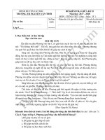 Đề thi giữa kì 2 môn Tiếng Việt lớp 5 - TH Nguyễn Văn Trỗi