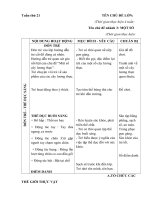 Tuần 21: Một số cây lương thực