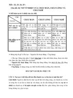 nội dung ôn tập khối 6 tuần 1 2 tháng 022020  thcs phan công hớn