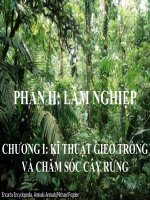 Bài 22: Vai trò và nhiệm vụ của rừng - Đăng Thị Huyền