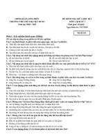 Đề thi giữa kì Lịch sử 7 năm học 2020 - 2021