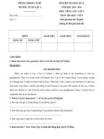 Tải 35 đề thi học kỳ 2 môn tiếng Anh lớp 5 -  Đề kiểm tra học kì II môn tiếng Anh lớp 5 có đáp án