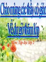 Tập đọc 2 - Tuẩn 31 - Chiếc rễ Đa tròn