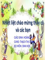 ĐA DẠNG CỦA LỚP THÚ BỘ DƠI - Website Trường THCS Phan Bội Châu - Đại Lộc - Quảng Nam