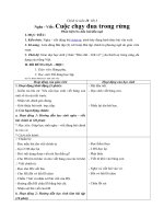 Tải Giáo án môn Chính tả lớp 3 bài 48 - Cuộc chạy đua trong rừng