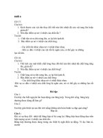 đáp án môn vật lí lớp 6 7 8 9  tuần 22  23  thcs huỳnh khương ninh