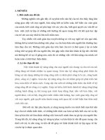 skkn một số biện pháp hữu ích hình thành kỹ năng sống cho trẻ 4 5 tuổi 