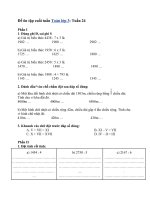 BÀI TẬP ÔN MÔN TOÁN LỚP 3 TUẦN 24 (BÀI 3)