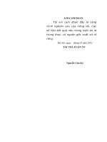 luận án tiến sĩ văn hóa chính trị của sĩ quan trẻ ngành hậu cần quân đội nhân dân việt nam hiện nay 