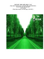 tuàn 19: chủ đề Thế giới thực vật. Nhánh 1: Cây xanh