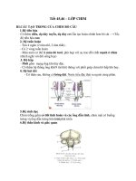 nội dung ôn tập khối 7 tuần 3 4 tháng 022020  thcs phan công hớn